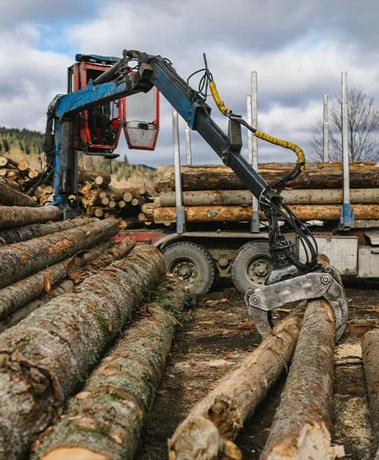 Utilaje Forestiere