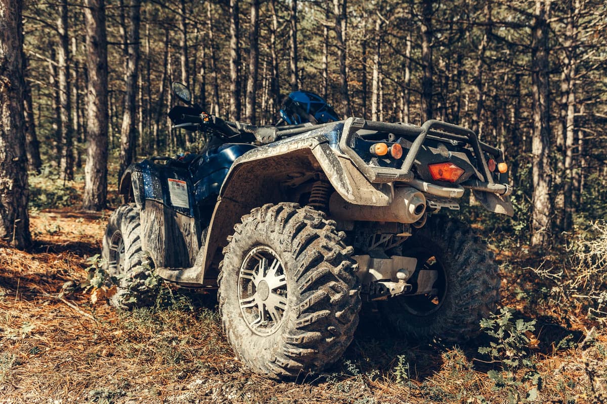 Vedere din spate a unui ATV quad, în prim-plan